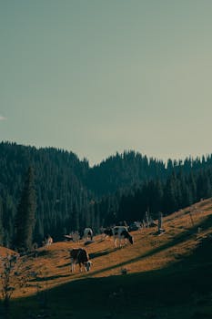 复信温暖校园心；中欧青春共筑梦；友谊桥梁永相连。