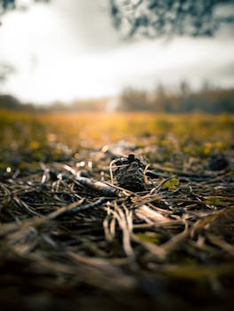 人民币升值通道延续；出口企业锁汇意愿强烈，美元存款魅力不再。