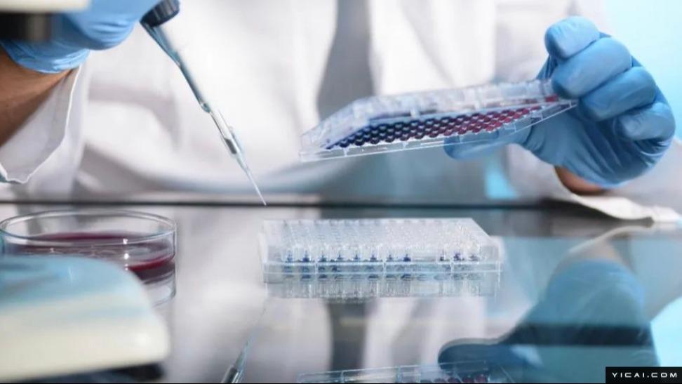 跨国药企布局中国:供应链重构与本土化生产的技术深挖 IT技术 跨国药企布局中国:供应链重构与本土化生产的技术深挖 IT技术 跨国药企布局中国:供应链重构与本土化生产的技术深挖 IT技术