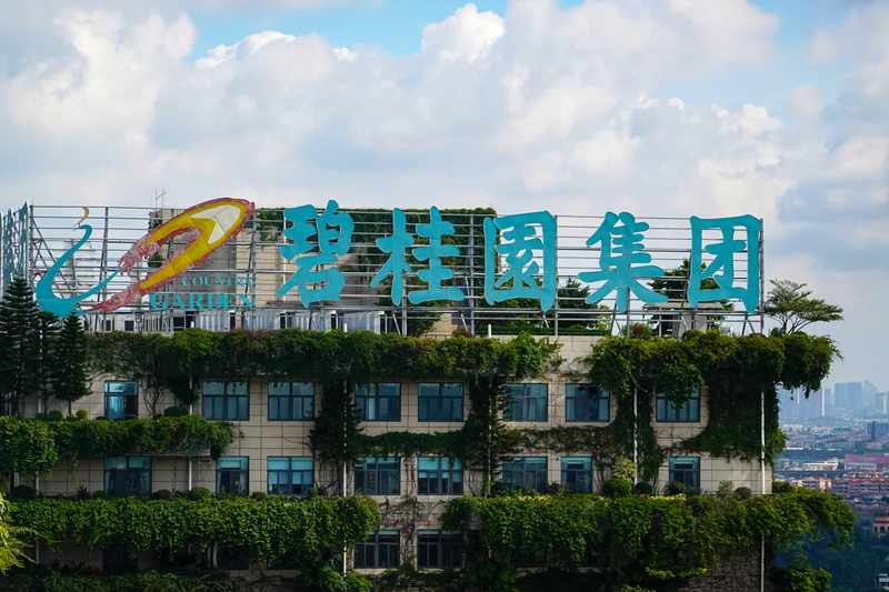  风暴过后的真相：房企债务重组背后的生存博弈与价值重构 新闻