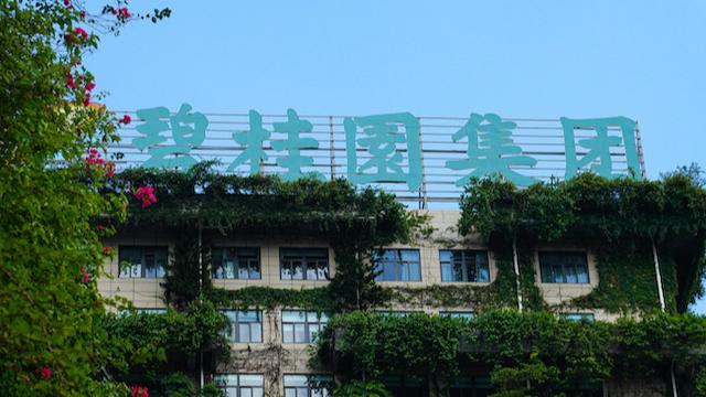  风暴过后的真相：房企债务重组背后的生存博弈与价值重构 新闻