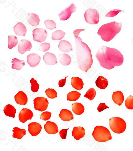 资本追捧并非技术终局:宇树科技IPO背后的估值幻象与现实 IT技术