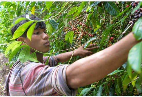  焦虑与破局：外资零售巨头的本土化生存逻辑 企业服务