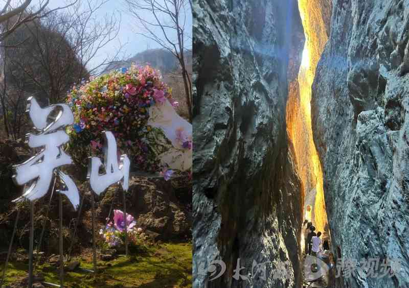  河南免费游攻略：实测有效的景区优惠获取路径与避坑指南 文化旅游