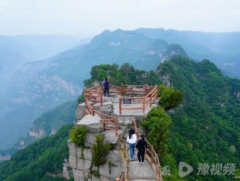  河南免费游攻略：实测有效的景区优惠获取路径与避坑指南 文化旅游