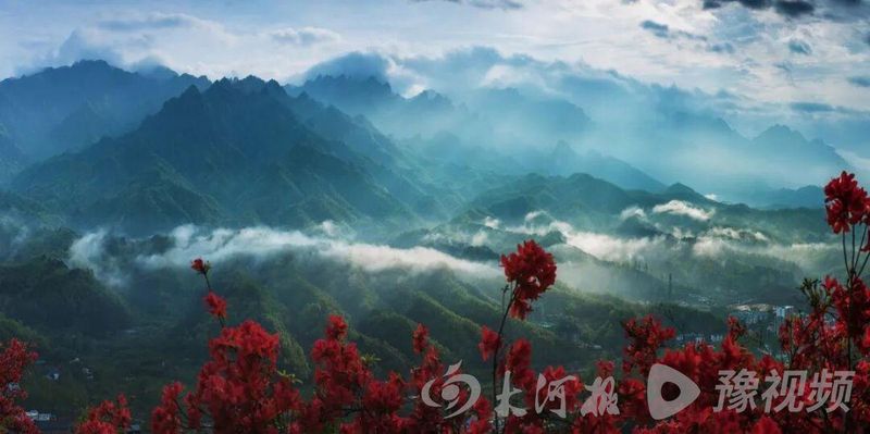  河南免费游攻略：实测有效的景区优惠获取路径与避坑指南 文化旅游