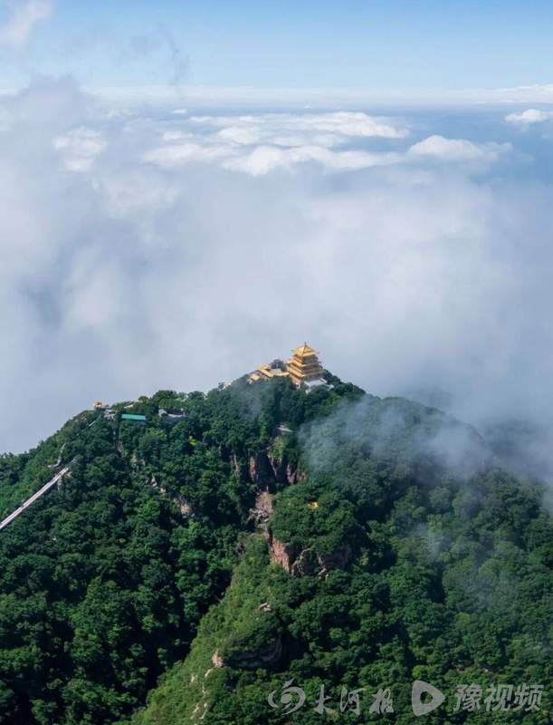  河南免费游攻略：实测有效的景区优惠获取路径与避坑指南 文化旅游