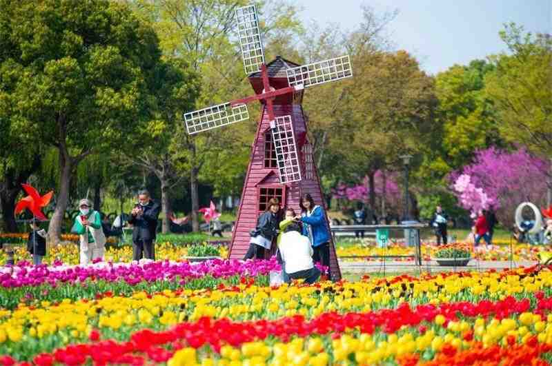  沉浸式剧本游引爆文旅新赛道：巴城十二花神IP的运营逻辑深度解析 文化旅游