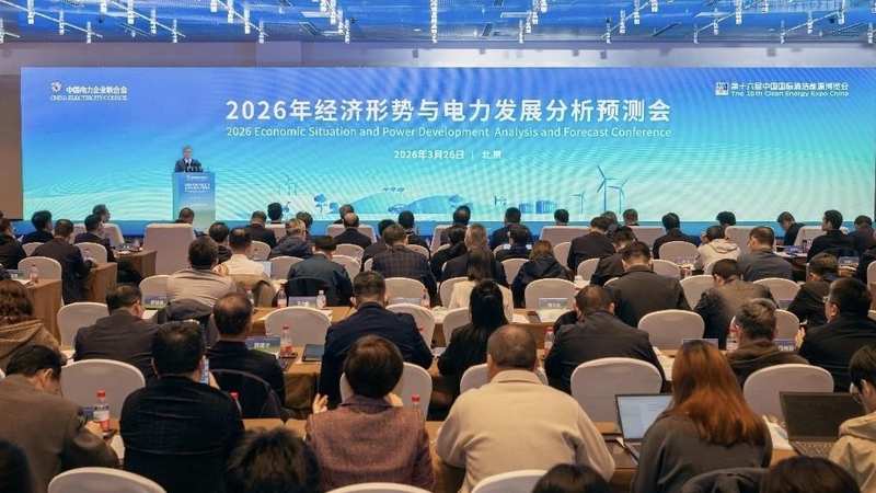  算力概念炒作背后的冷思考：一家上市公司算力租赁业务不足万元的深度复盘 股票财经