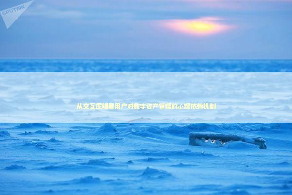 从交互逻辑看用户对数字资产管理的心理依赖机制 IT技术