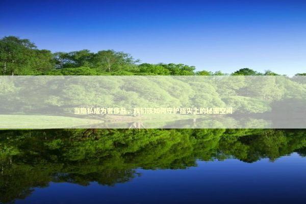 当隐私成为奢侈品,我们该如何守护指尖上的秘密空间 当隐私成为奢侈品,我们该如何守护指尖上的秘密空间 IT技术