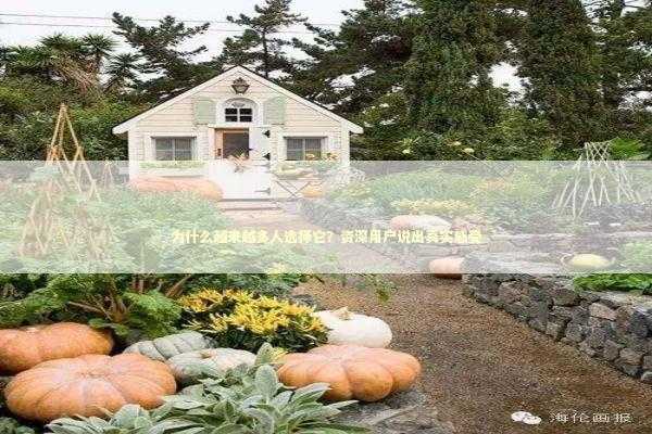 为什么越来越多人选择它？资深用户说出真实感受 IT技术