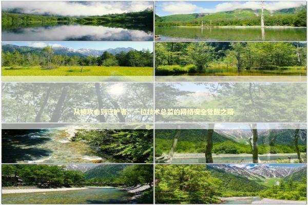 从被攻击到守护者：一位技术总监的网络安全觉醒之路 IT技术