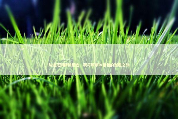 从迷茫到精挑细选：我与原单lv包包的邂逅之旅 时尚用品