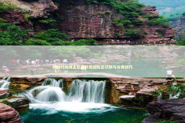 揭秘时尚博主私藏的包袋标签识别与分类技巧 时尚用品