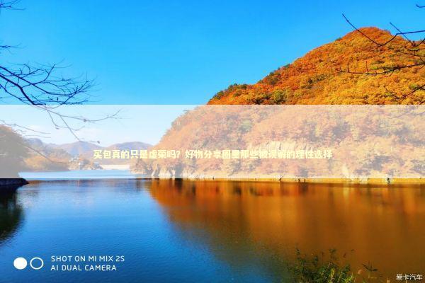 买包真的只是虚荣吗？好物分享圈里那些被误解的理性选择 时尚用品